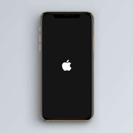 iPhone hängt beim Apple Logo Datenrettung