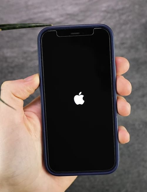 iphone haengt beim apple logo